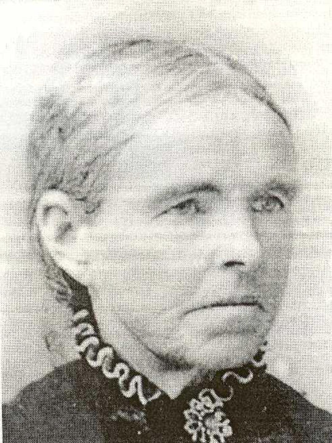 Ann Llewellyn (1839 - 1920) Profile